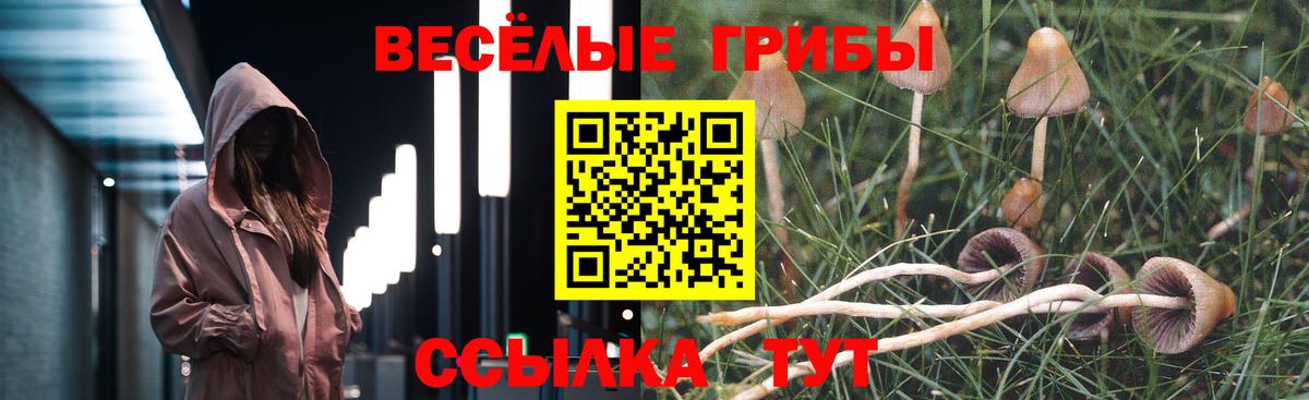 Галлюциногенные грибы GOLDEN TEACHER  Вход с VPN  Клинцы  Галлюциногенные грибы прущие грибы 